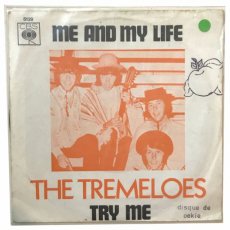 S-319 The Tremeloes